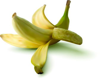 Realistic banana design vector illustration