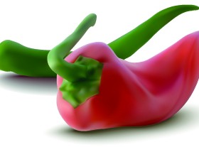 Realistic chilis design vector illustration