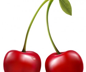 Realistic red cherry design vector