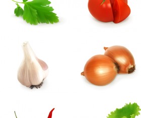 Various vegetables design vectors