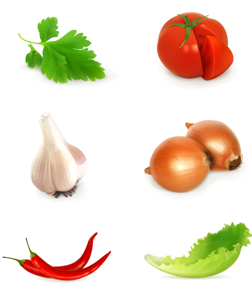 Various vegetables design vectors