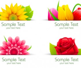 Vector beautiful flowers design set 01