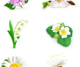 Vector beautiful flowers design set 02