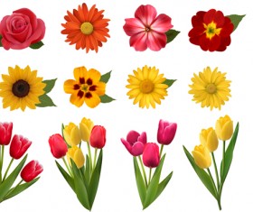 Vector beautiful flowers design set 03
