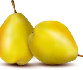 Vivid Fruits design vector graphics 01