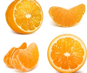 Vivid Fruits design vector graphics 04