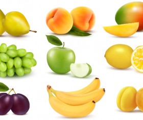 Vivid Fruits design vector graphics 05