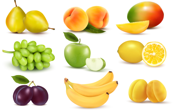 Download Vivid Fruits design vector graphics 05 free download