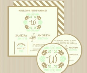 Wedding invitation with dvd kit design vector 05