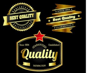 Royal luxury labels vector graphics 04