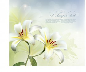 Beautiful white flower vector background 01