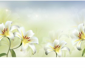 Beautiful white flower vector background 02