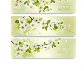 Beautiful white flowers vector banner 01