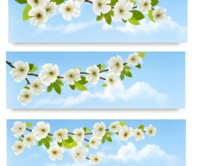 Beautiful white flowers vector banner 02