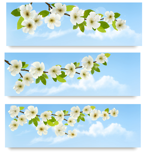 Beautiful white flowers vector banner 02