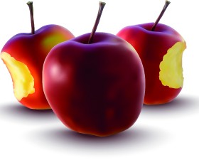 Realistic apple design vector illustration