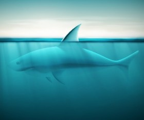 Realistic shark design vector
