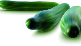 Realistic vegetables vector illustration