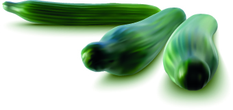 Realistic vegetables vector illustration