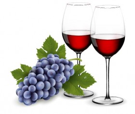 purple grape with wine design vectors