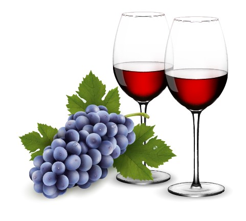 purple grape with wine design vectors