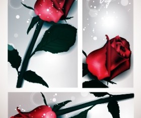 Valentines Day rose cards design vector 03