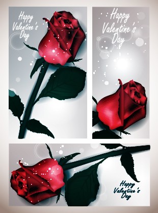 Valentines Day rose cards design vector 03