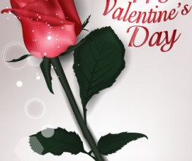 Valentines Day rose cards design vector 04