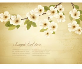spring white flowers with vintage background 01