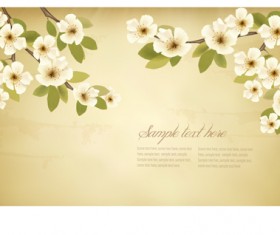 spring white flowers with vintage background 02