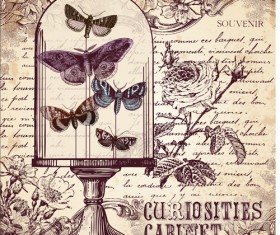 Hand drawn vintage butterflies vectors set 01