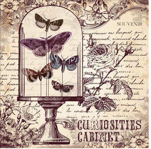 Hand drawn vintage butterflies vectors set 01