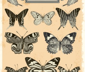 Hand drawn vintage butterflies vectors set 03