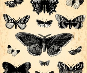 Hand drawn vintage butterflies vectors set 05