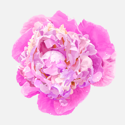 Beautiful peonies flower design vector 01