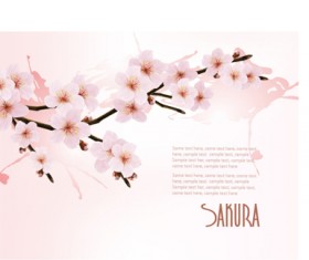 Beautiful cherry vector background art