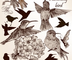 Hand drawn birds vintage style vector 02