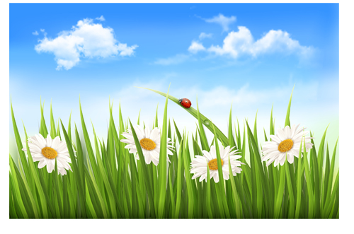 Blue sky and grass summer background