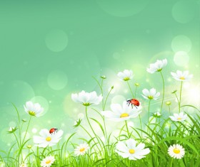 Coccinella and white flower shiny background vector