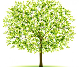 Creative green tree design vector graphics 03