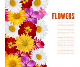Different colored flower with background vector