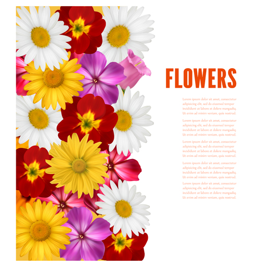 Different colored flower with background vector