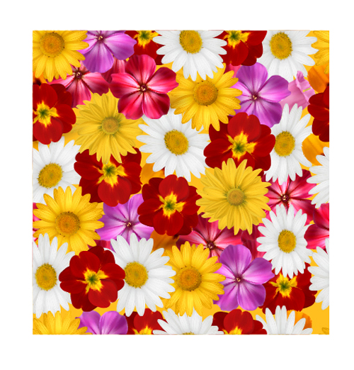 Different flower seamless pattern creative vector