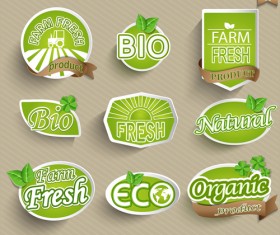 Eco with organic food stickers vector