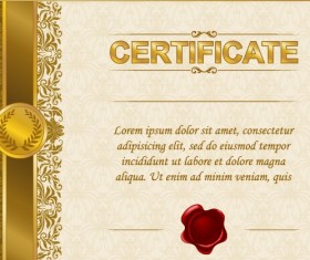 Excellent certificate and diploma template design 04