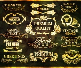 Golden frame with labels ornament vector 01