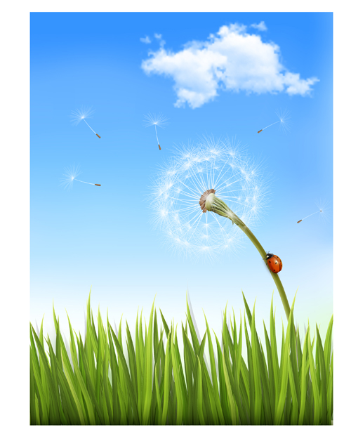 Green grass with dandelion natural elements vector