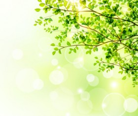 Green leaf with halation background vector 01