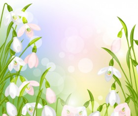 snowdrops flowers with shiny background vector