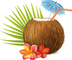 Realistic coconut design vector material 02